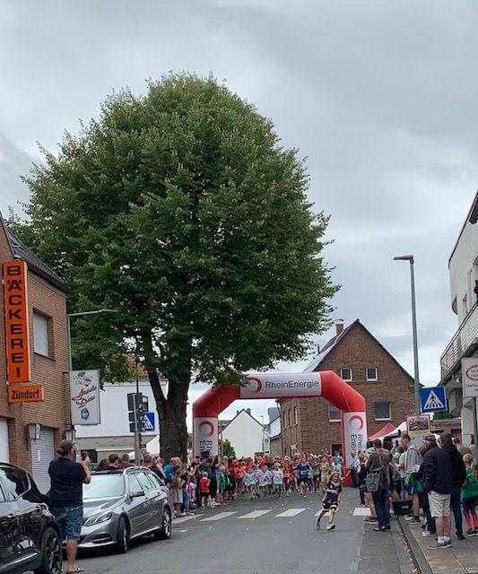 Stadtbäume im Klimawandel - Führung in Sechtem Stadtbäume im Klimawandel - Führung in Sechtem