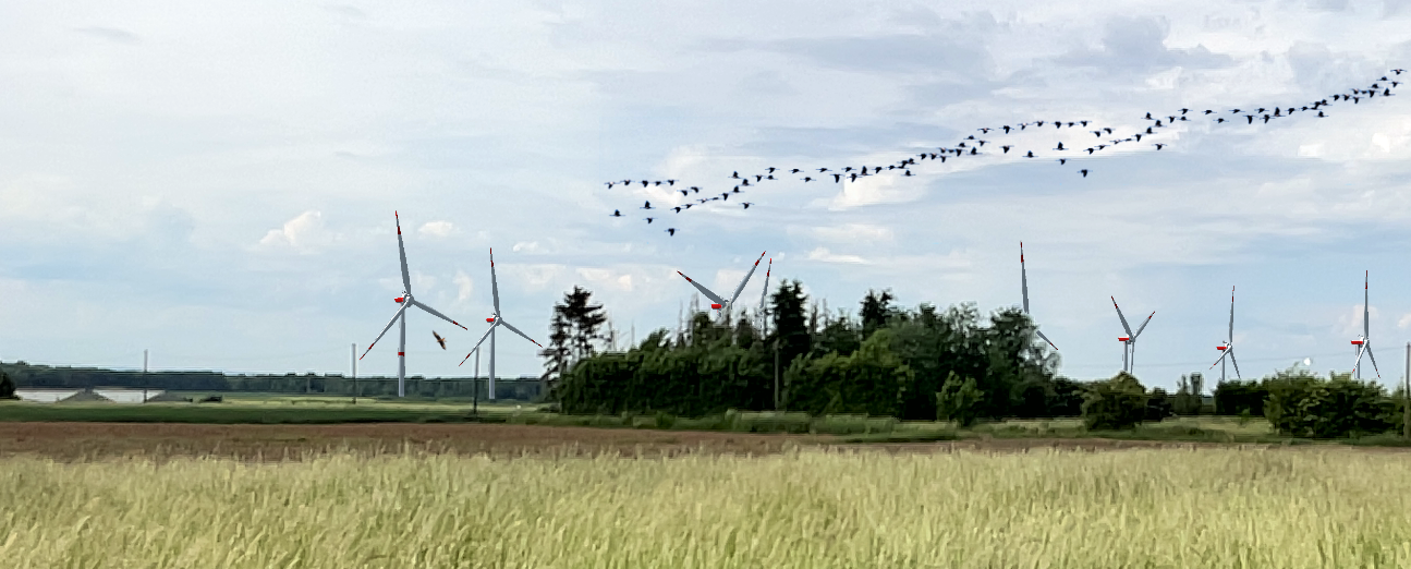 Windenergie: Vereine plädieren für Schutz der Ville Windenergie: Vereine plädieren für Schutz der Ville
