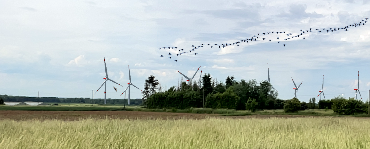 Windenergie: Vereine plädieren für Schutz der Ville