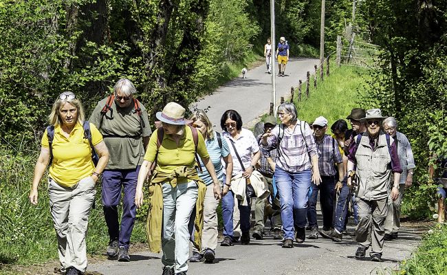 Zwischen Blüten und Naturschutz