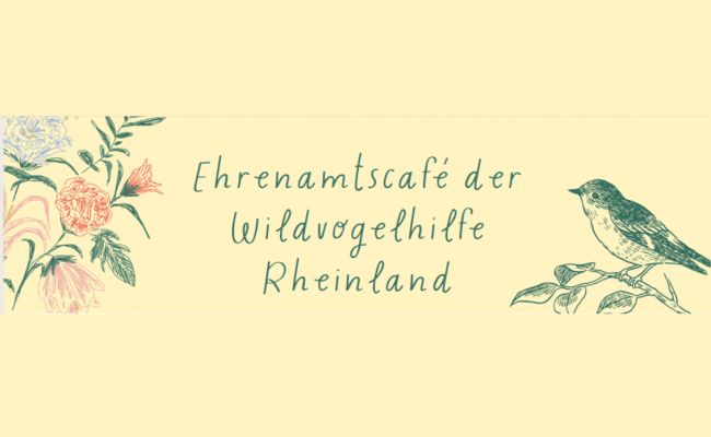 Einladung zum Mitmachcafé der Wildvogelhilfe Rheinland
