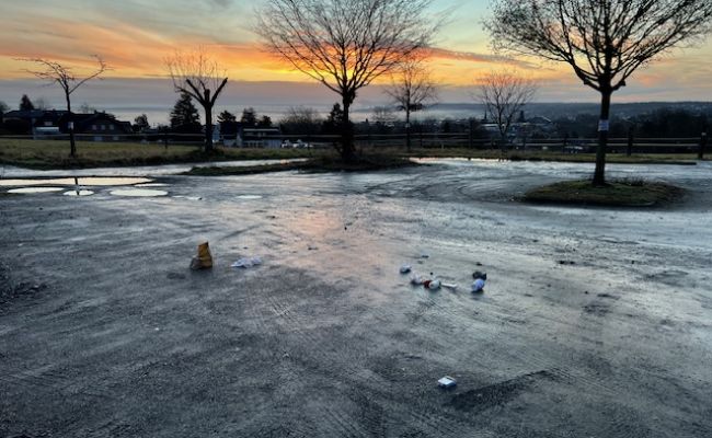 Stadtbäume im Klimawandel - Führung in Sechtem 