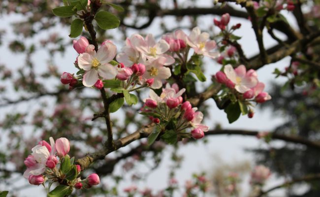 In heimischer Landschaft unterwegs