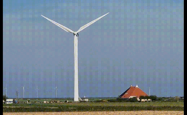 Kein Wildwuchs an Windrädern in Bornheim! Kein Wildwuchs an Windrädern in Bornheim!