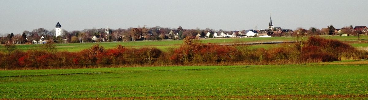 Villerücken bei Bornheim Rösberg und Hemmerich