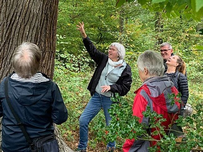 Altersschätzung einer Eiche mit Drehwuchs  Altersschätzung einer Eiche mit Drehwuchs