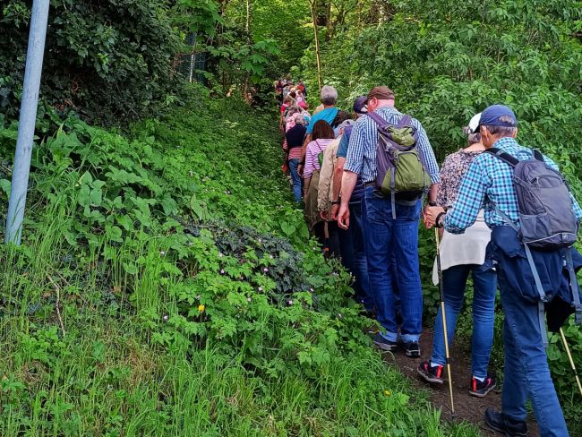 Aufstieg durch die Wolfsschlucht